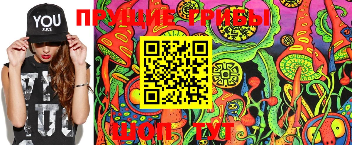 Псилоцибиновые грибы Psilocybe  Псилоцибиновые грибы GOLDEN TEACHER  Бузулук  Вход с VPN 